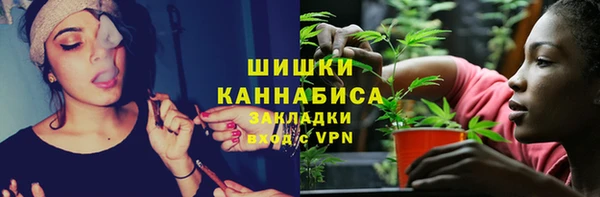 СК Каменск-Шахтинский