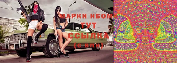 СК Каменск-Шахтинский