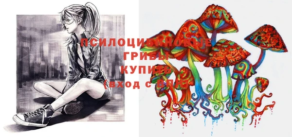 кокаин премиум Каменка