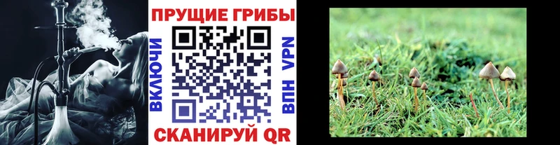 Купить закладки  Ярославль  Псилоцибиновые грибы GOLDEN TEACHER 